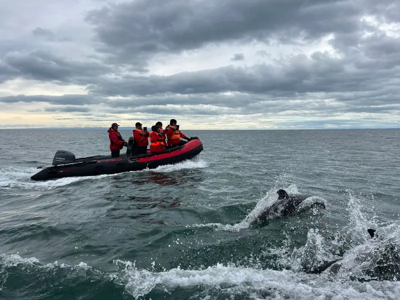 Passengers in sailing suits next to a whale in the Strait of Magellan
